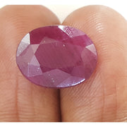 8.14 Ratti Natural Neo Burma Ruby with Govt. Lab Certificate-(2331)